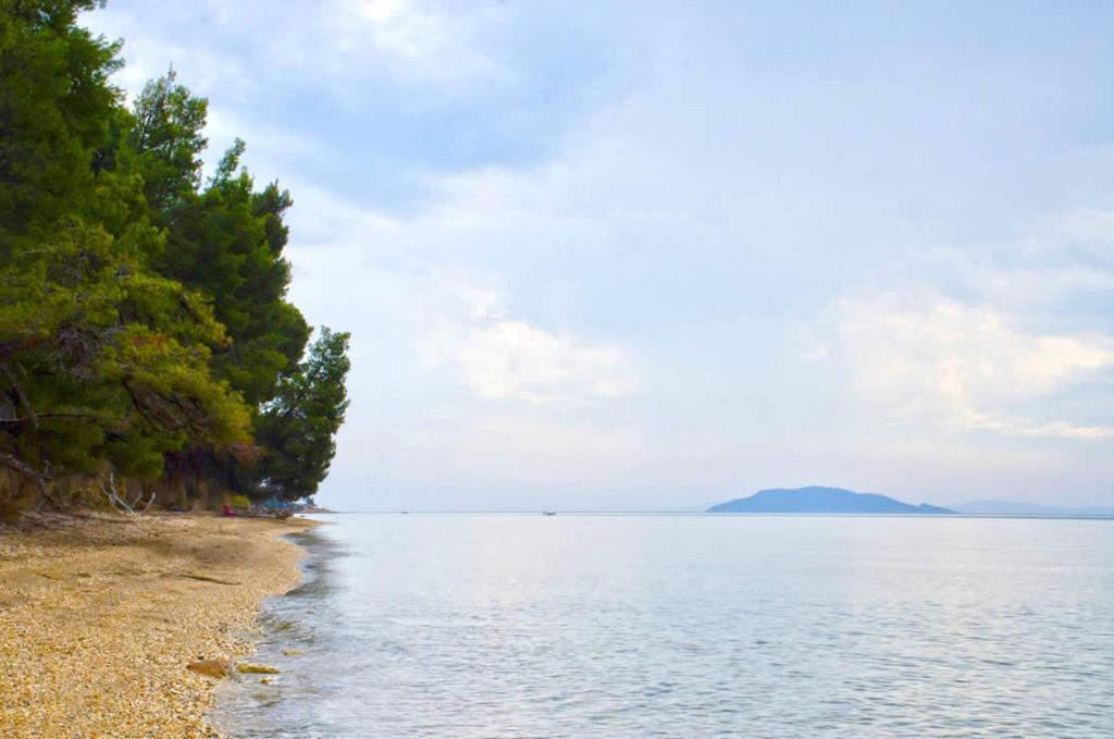 Elia Apartments Sithonia Kültér fotó
